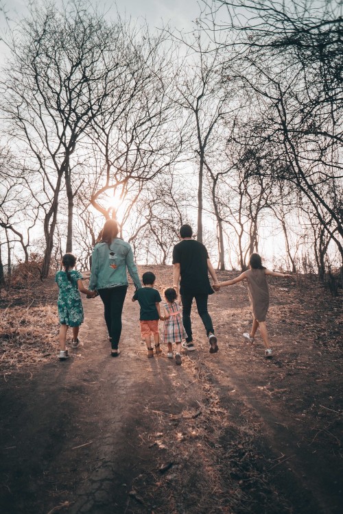 Een gezin van 6 stappen in een bos naar zonsondergang toe.